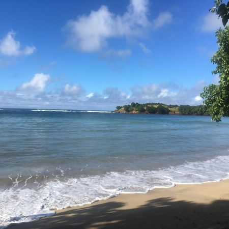 Studio Ana Martinique La Trinité Zewnętrze zdjęcie