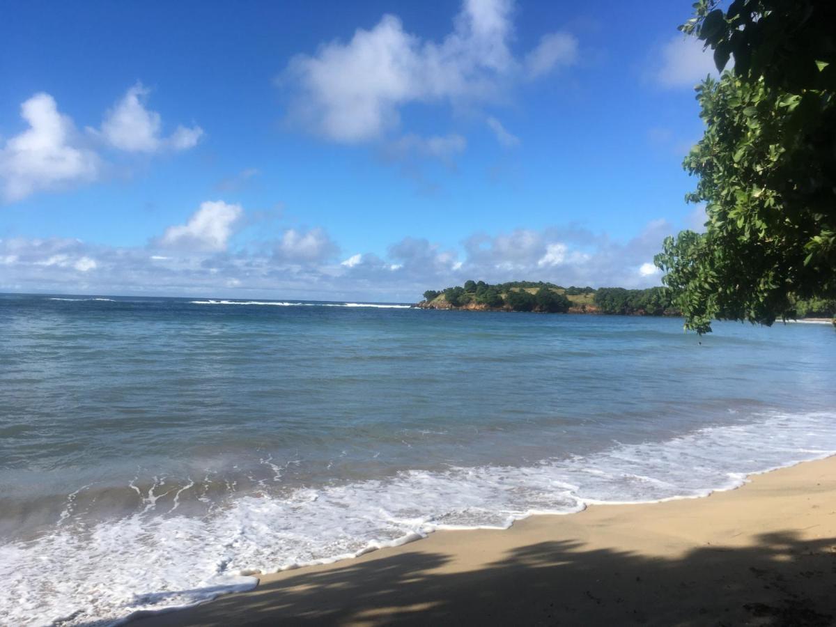 Studio Ana Martinique La Trinité Zewnętrze zdjęcie