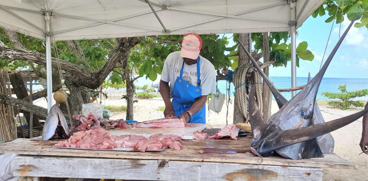 Studio Ana Martinique La Trinité Zewnętrze zdjęcie