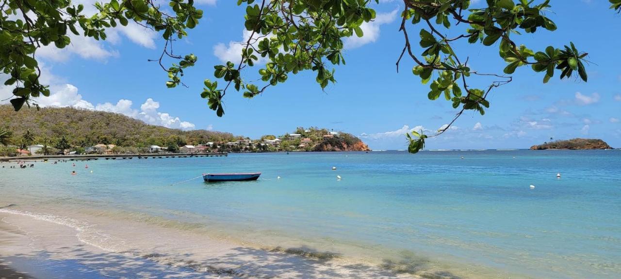 Studio Ana Martinique La Trinité Zewnętrze zdjęcie